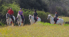 Spain-Central Spain-Extremadura Ride